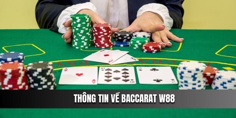 Thông tin về Baccarat W88 hội viên cần nắm rõ