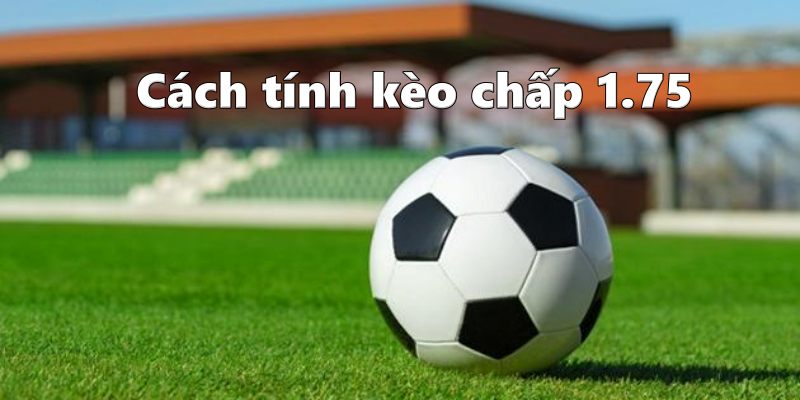 Chia sẻ bí kíp bắt kèo chấp 1.75 chuẩn nhất